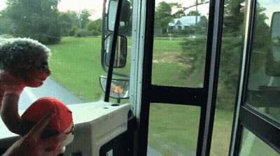 Person Holding Stuffed Animal At Window GIF