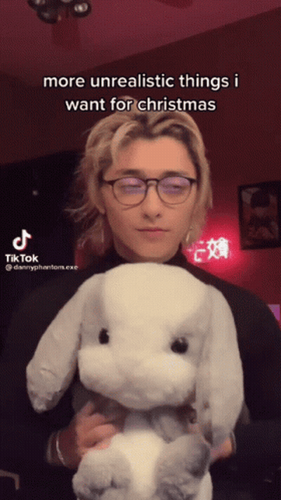 Person Holding Stuffed Animal More Unrealistic Things I Want For Christmas GIF