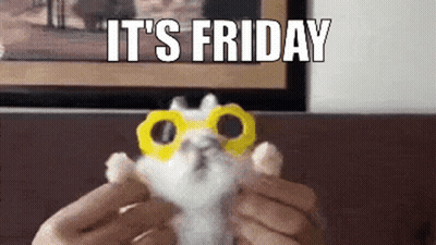 Person Holding Stuffed Animal Saying It's Friday GIF