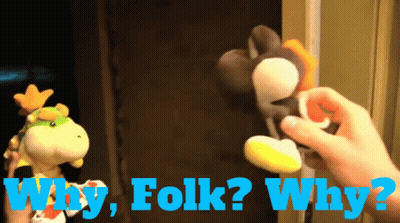 Person Holding Stuffed Animal Saying Why Folk Why GIF