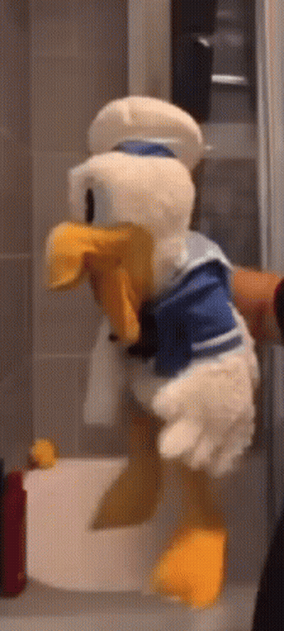 Person Holding Stuffed Donald Duck GIF
