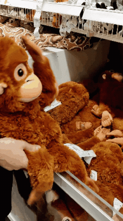 Person Holding Stuffed Monkey GIF