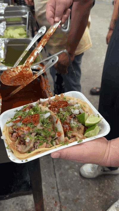 Person Holding Styrofoam Tray Of Tacos GIF