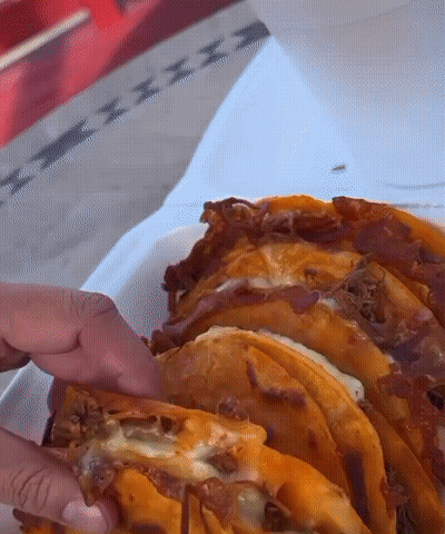 Person Holding Taco With Cheese GIF