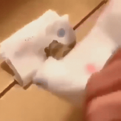 Person Holding Tissue Paper With Small Object GIF