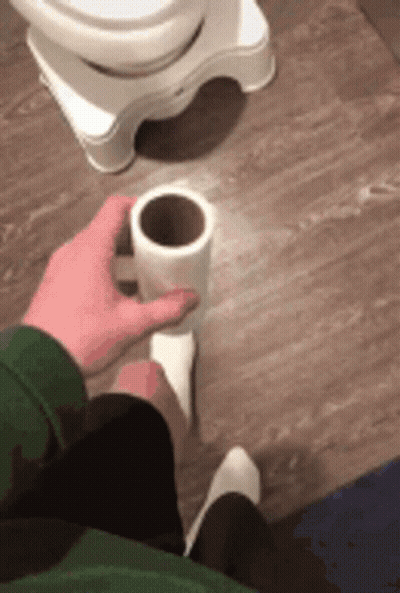 Person Holding Toilet Paper GIF