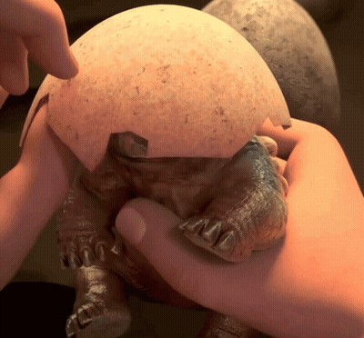 Person Holding Turtle With Large Egg GIF