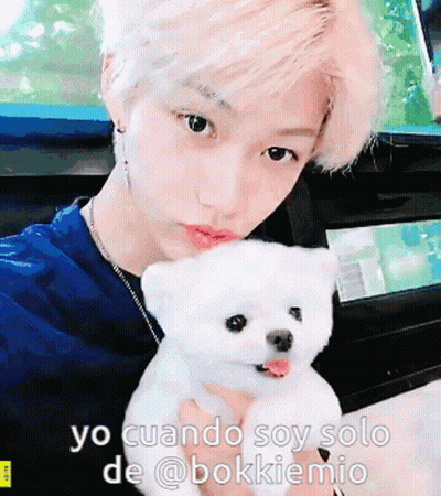 Person Holding White Bear Yo Cuando Soy Solo De @Bokkiemio GIF