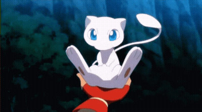 Person Holding White Cat GIF