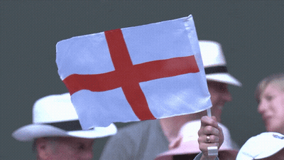 Person Holding White Flag With Red Cross GIF