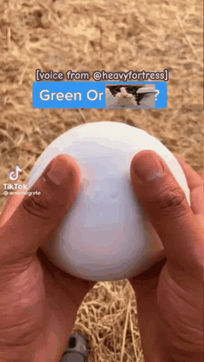 Person Holding White Green Yellow Egg