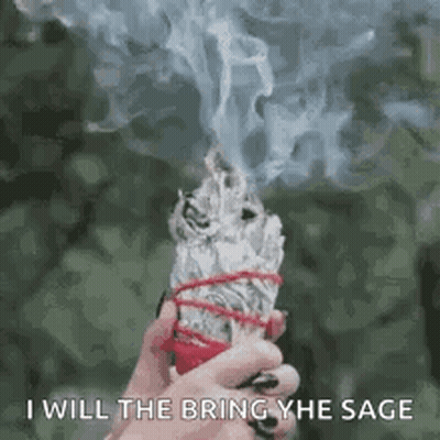 Person Holding White Sage Stick With Smoke GIF