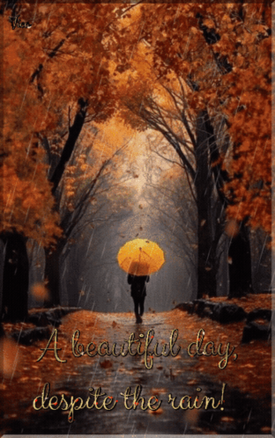 Person Holding Yellow Umbrella in Rain