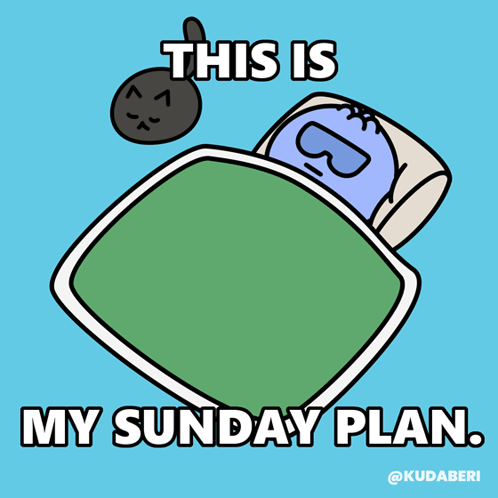 Person In Bed Saying This Is My Sunday Plan GIF