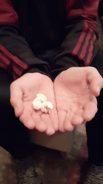Person In Black And Red Adidas Jacket Holding White Object GIF