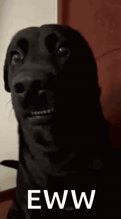 Person In Black Dress In Front Of Pregnancy Test Results Sign GIF