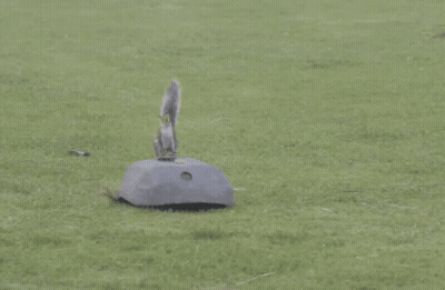 Person In Black Hoodie And Green Shorts Running On Sidewalk GIF