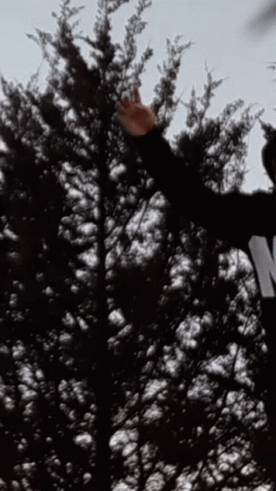 Person in Black Shirt With W Standing in Front of Trees