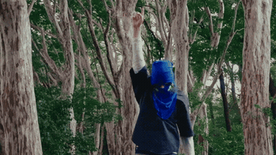 Person In Blue Shirt And Scarf Standing In Forest GIF