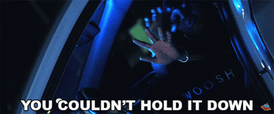 Person In Car Saying You Couldn't Hold It Down GIF