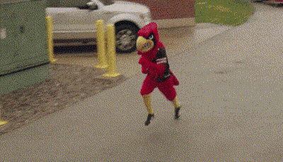 Person In Cardinal Mascot Costume Running Down Street GIF