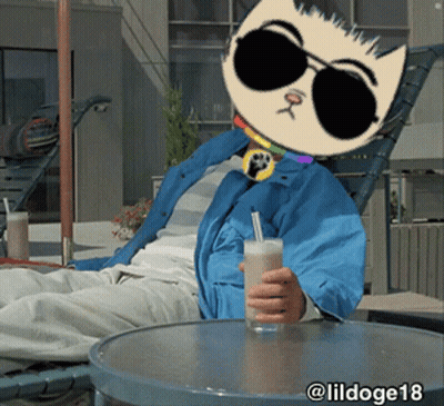 Person In Cat Mask And Sunglasses With Milkshake GIF