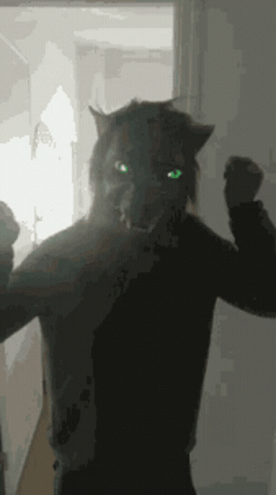 Person In Cat Mask With Green Eyes GIF