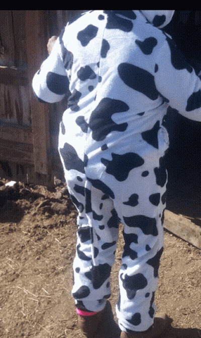 Person In Cow Costume Standing In Dirt Field GIF