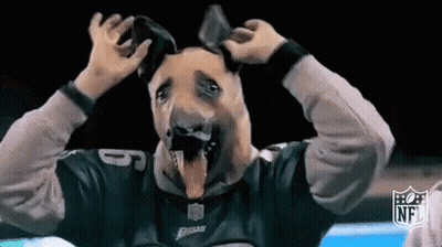 Person in Dog Mask and Eagles Jersey
