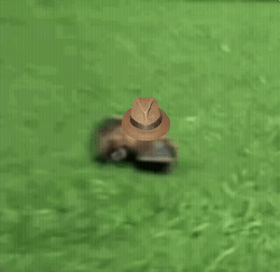 Person In Fedora Looking Out Of Hole GIF