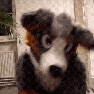 Person In Furry Dog Costume Funny Face GIF