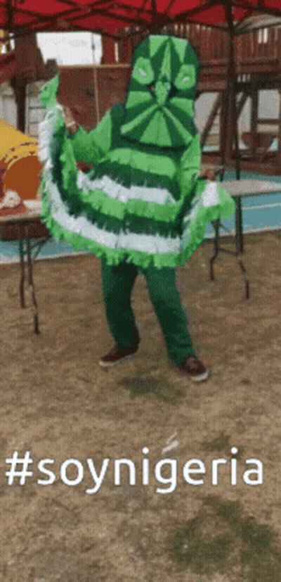 Person In Green And White Costume Saying Soynigeria GIF