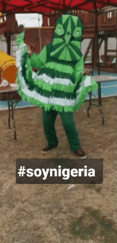 Person In Green And White Costume With SoyNigeria GIF