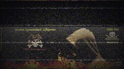 Person In Hood With Skulls And Crossbones GIF