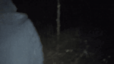 Person In Hooded Jacket Walking Through Dark Forest With Flashlight GIF