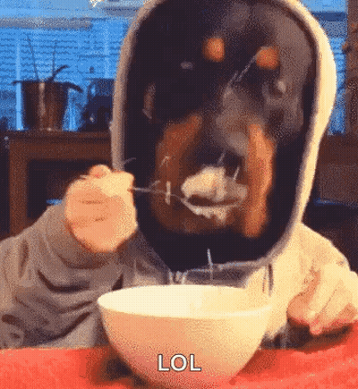 Person In Hoodie Eating Cereal With Spoon GIF