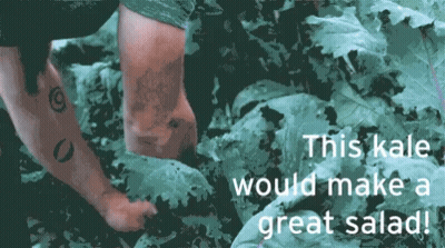 Person in Kale Field Saying This Kale Would Make a Great Salad