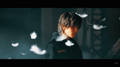 Person In Kappa Hoodie With Flying Feathers GIF