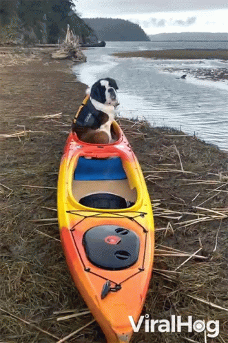 Person In Kayak This Is Going Down In History GIF