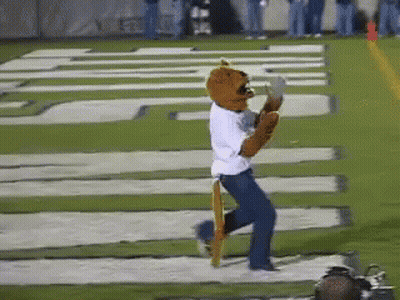 Person In Mascot Costume Running With Tigers GIF