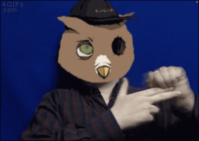 Person In Owl Mask Pointing At Blue Background GIF