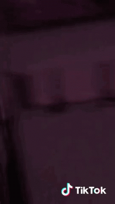 Person In Rainbow Sunglasses Taking Selfie With TikTok Logo GIF