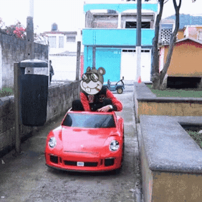Person In Red Car With Squirrel On Face GIF