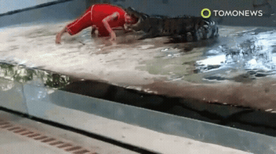 Person In Red Outfit Crawling Into Pool With Tomonews GIF