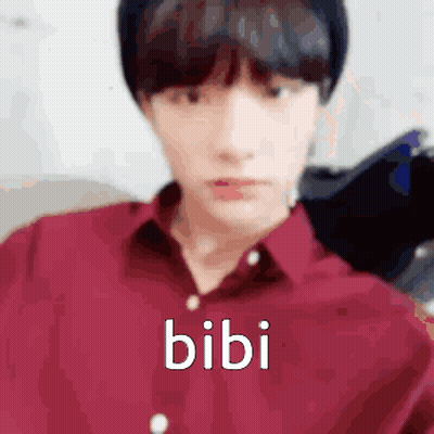 Person In Red Shirt And Beanie With Bibi GIF