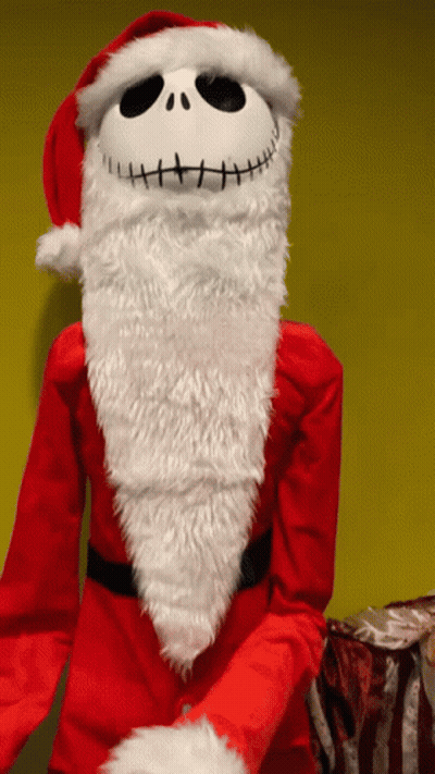 Person In Santa Costume With White Beard GIF