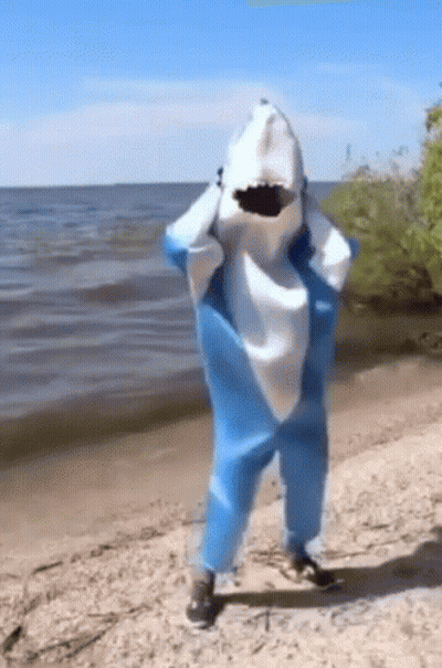Person In Shark Costume On Beach GIF
