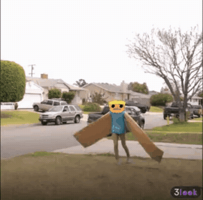 Person In Sunglasses And Cardboard Wing Costume GIF