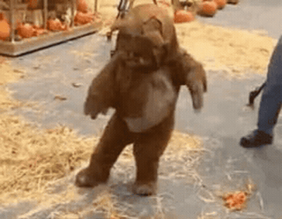Person In Teddy Bear Costume GIF