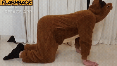 Person In Teddy Bear Costume Kneeling GIF